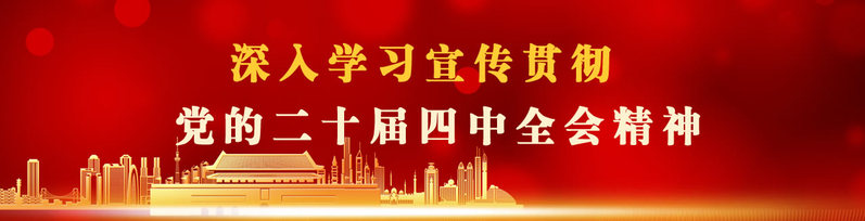 二十届四中全会
